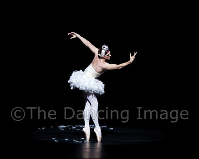 Dying Swan-0510