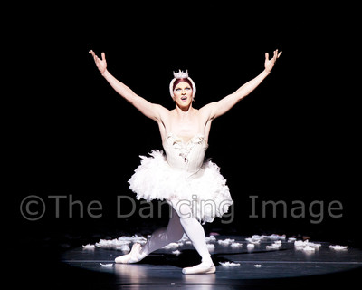 Dying Swan-0573