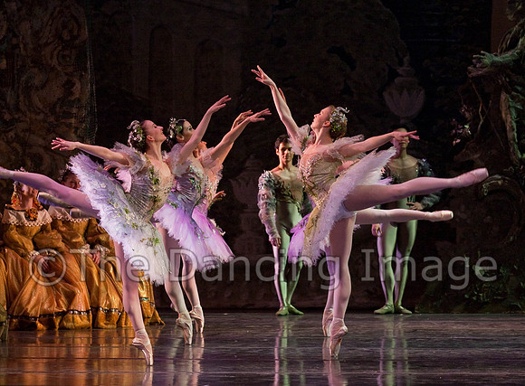 TB Sleeping Beauty Wed.-0115-2