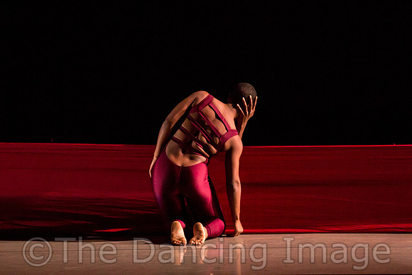 DBDT Encore-8634