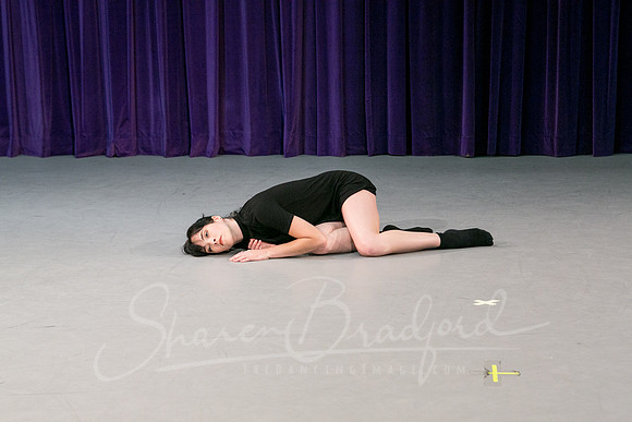 Gold Shadow pc Sharen Bradford-1631