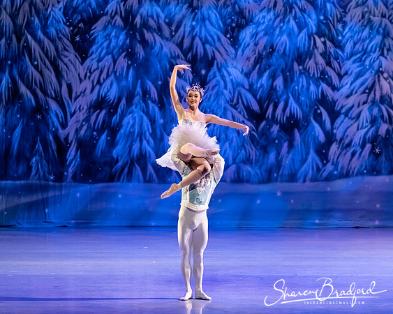 CCBT Nutcracker 19 pc Sharen Bradford-4846
