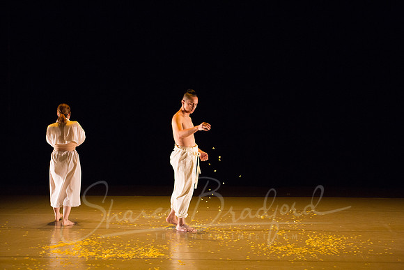 DCCD Yellow - pc Sharen Bradford-0071