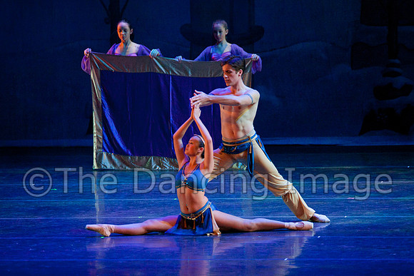 Chamberlain 2011 Sat-1285