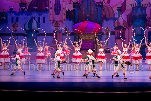 1Q3A1377