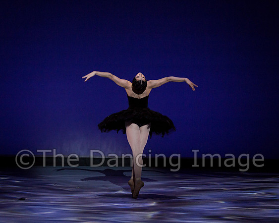 Olga Pavlova_The Dying Swan-3922