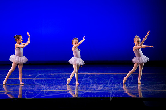 Water Lillies-0312