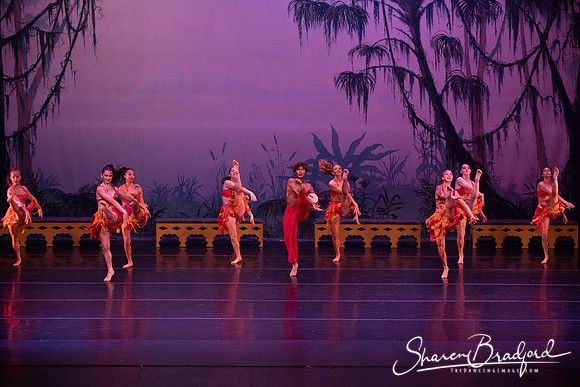 TDC La Bayadere pc Sharen Bradford-3048