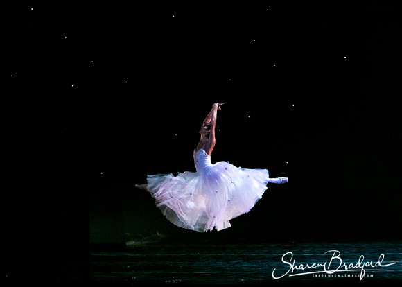 Nutcracker eve pc Sharen Bradford-6743