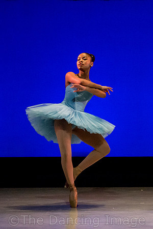 Raymonda Variation-3298