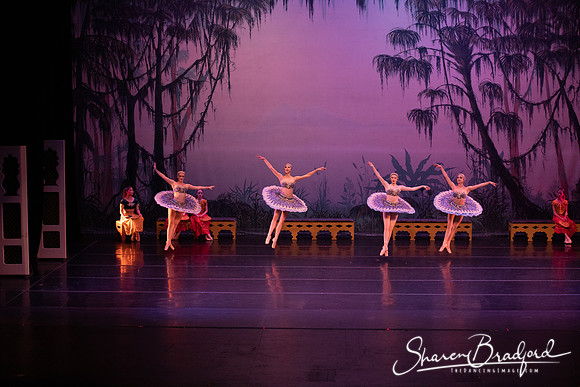 TDC La Bayadere pc Sharen Bradford-3091