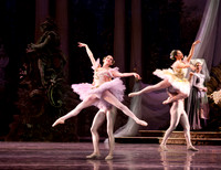 TB Sleeping Beauty Wed.-0015
