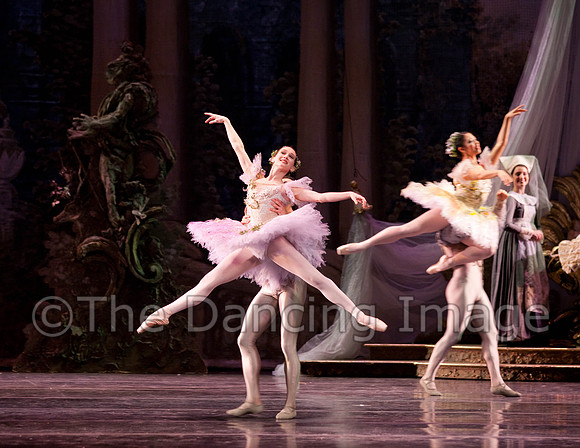 TB Sleeping Beauty Wed.-0015