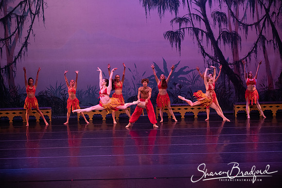 TDC La Bayadere pc Sharen Bradford-3040