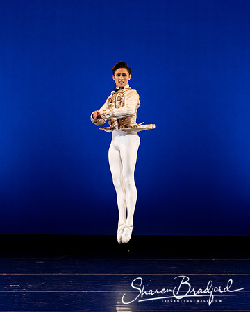 Texas Ballet Theater pc Sharen Bradford-1269