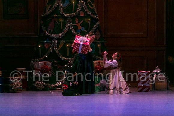 Nutcracker Sat-2764