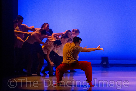 Coalescence in Progress-3248