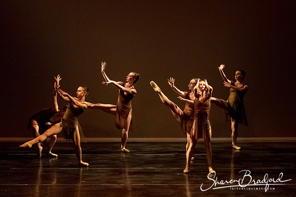 Ballet Dallas Seasons pc Sharen Bradford-1389