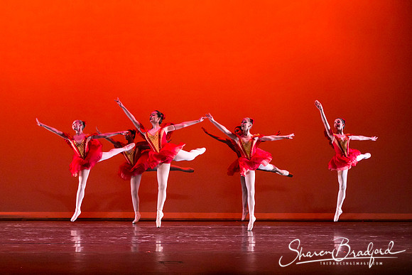 Mozart pc Sharen Bradford-3953