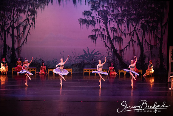 TDC La Bayadere pc Sharen Bradford-3219