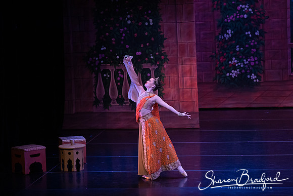TDC La Bayadere pc Sharen Bradford-2812