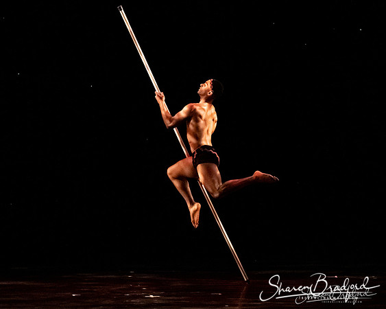 MOMIX Pole Dance pc Sharen Bradford-0300