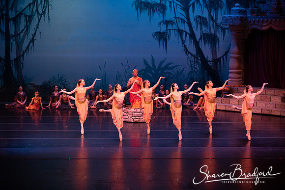 TDC La Bayadere pc Sharen Bradford-2474