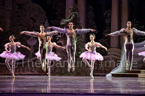 TB Sleeping Beauty Wed.-0053