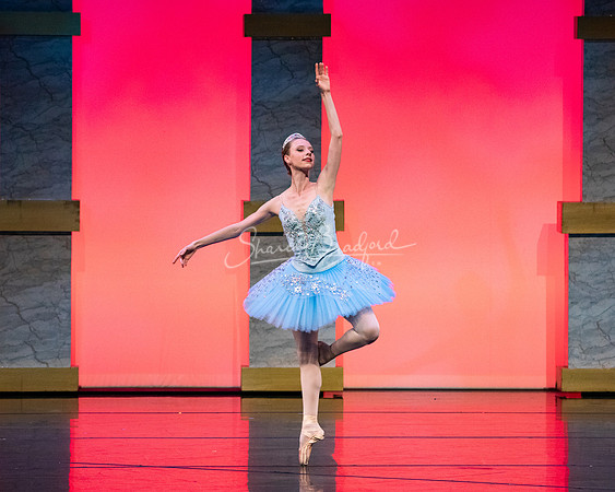 Ballet NTX Sleeping Beauty pc Sharen Bradford-0121