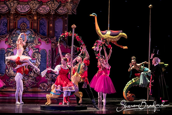 Nutcracker matinee pc Sharen Bradford-5294