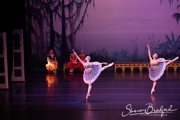 TDC La Bayadere pc Sharen Bradford-3073