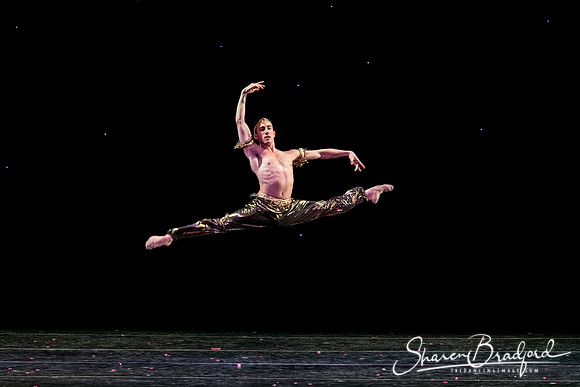 Nutcracker matinee pc Sharen Bradford-5722