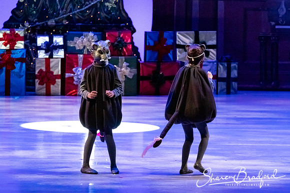 CCBT Nutcracker 19 pc Sharen Bradford-4390