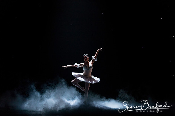 Nutcracker matinee pc Sharen Bradford-4998