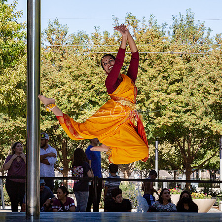 Indique Dance pc Sharen Bradford-1624