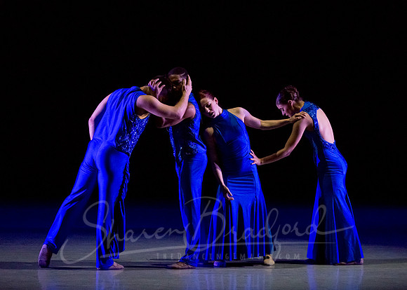 Following Echoes - pc Sharen Bradford-3342