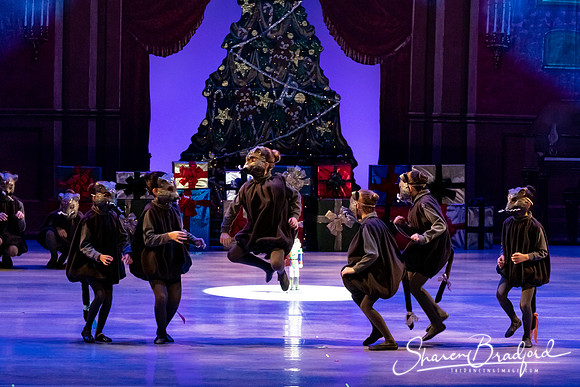 CCBT Nutcracker 19 pc Sharen Bradford-4404