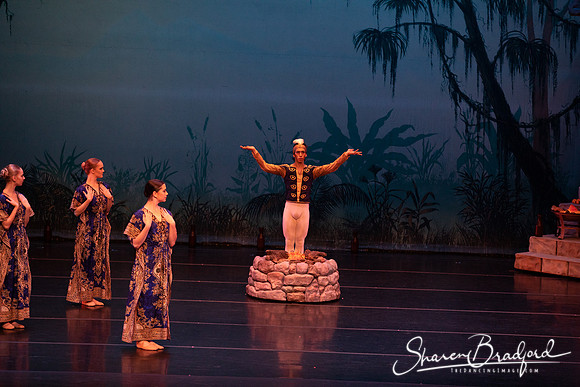 TDC La Bayadere pc Sharen Bradford-2398