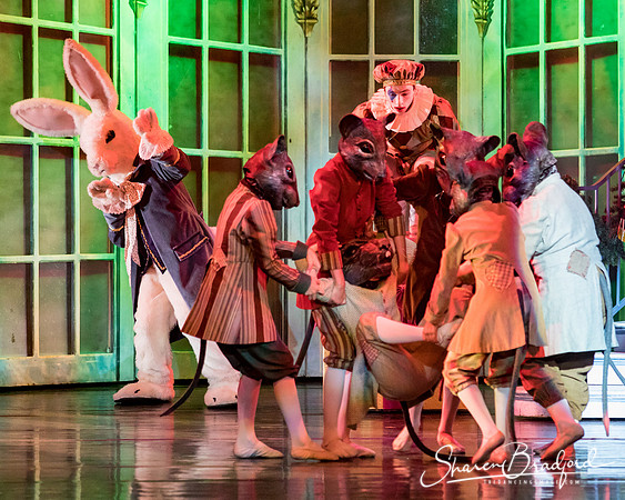 Nutcracker matinee pc Sharen Bradford-4820