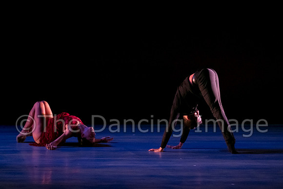 Chado Danse-2821