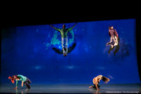 Motionhouse SCATTERED-0198
