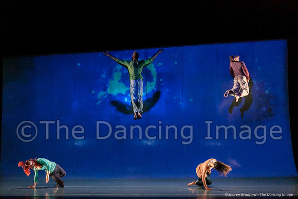Motionhouse SCATTERED-0198