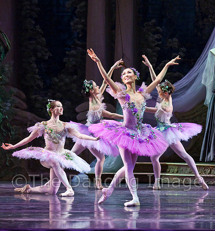TB Sleeping Beauty Wed.-0086