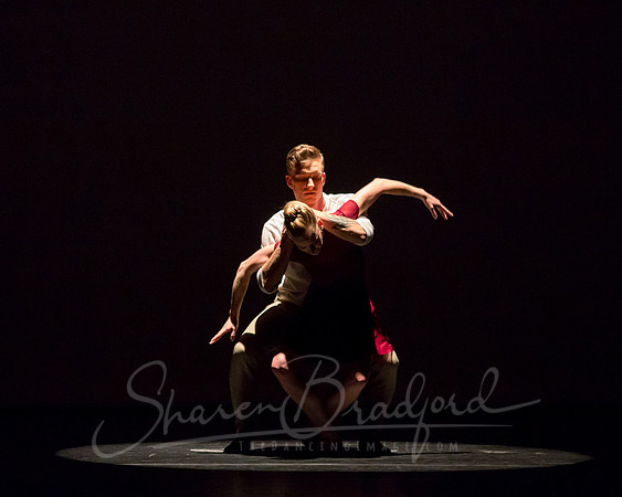 Falling Light pc Sharen Bradford-0541