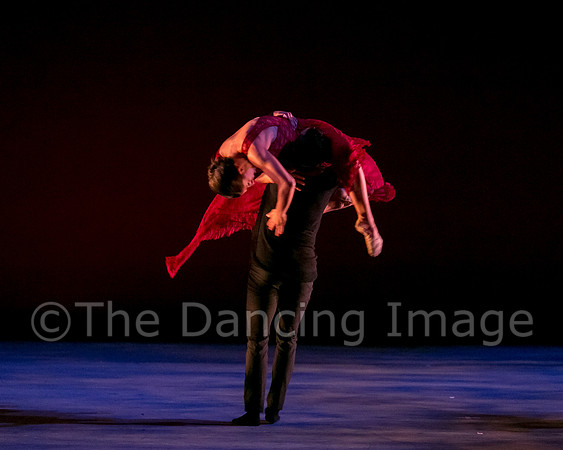 Chado Danse-2942