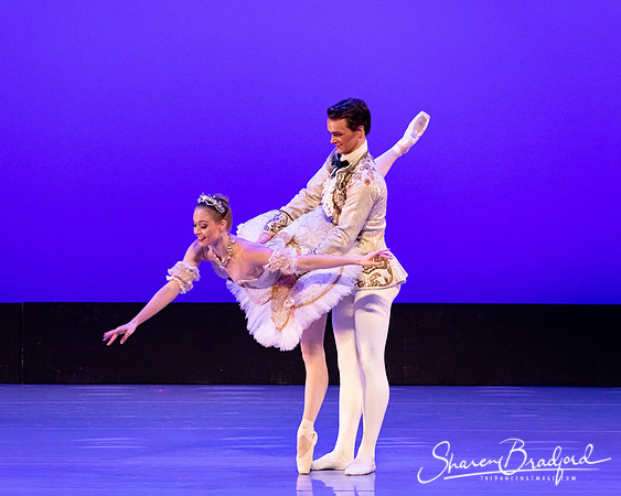 TBT Sleeping Beauty Pas pc Sharen Bradford-1413
