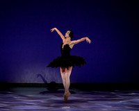 Olga Pavlova_The Dying Swan-3863