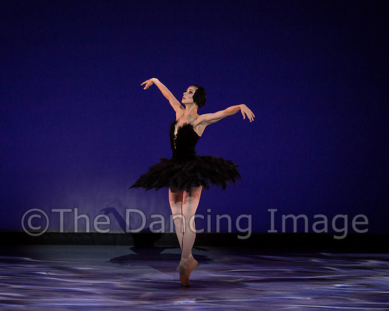 Olga Pavlova_The Dying Swan-3863