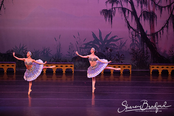 TDC La Bayadere pc Sharen Bradford-2944