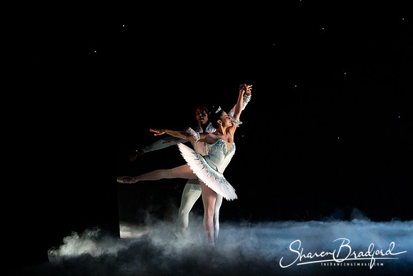 Nutcracker matinee pc Sharen Bradford-5010
